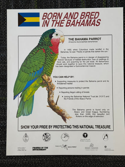 Bahamas Parrot Vintage Preservation Poster (1991)