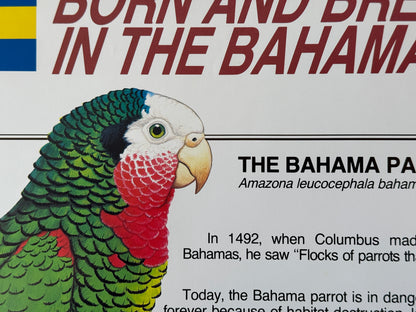 Bahamas Parrot Vintage Preservation Poster (1991)