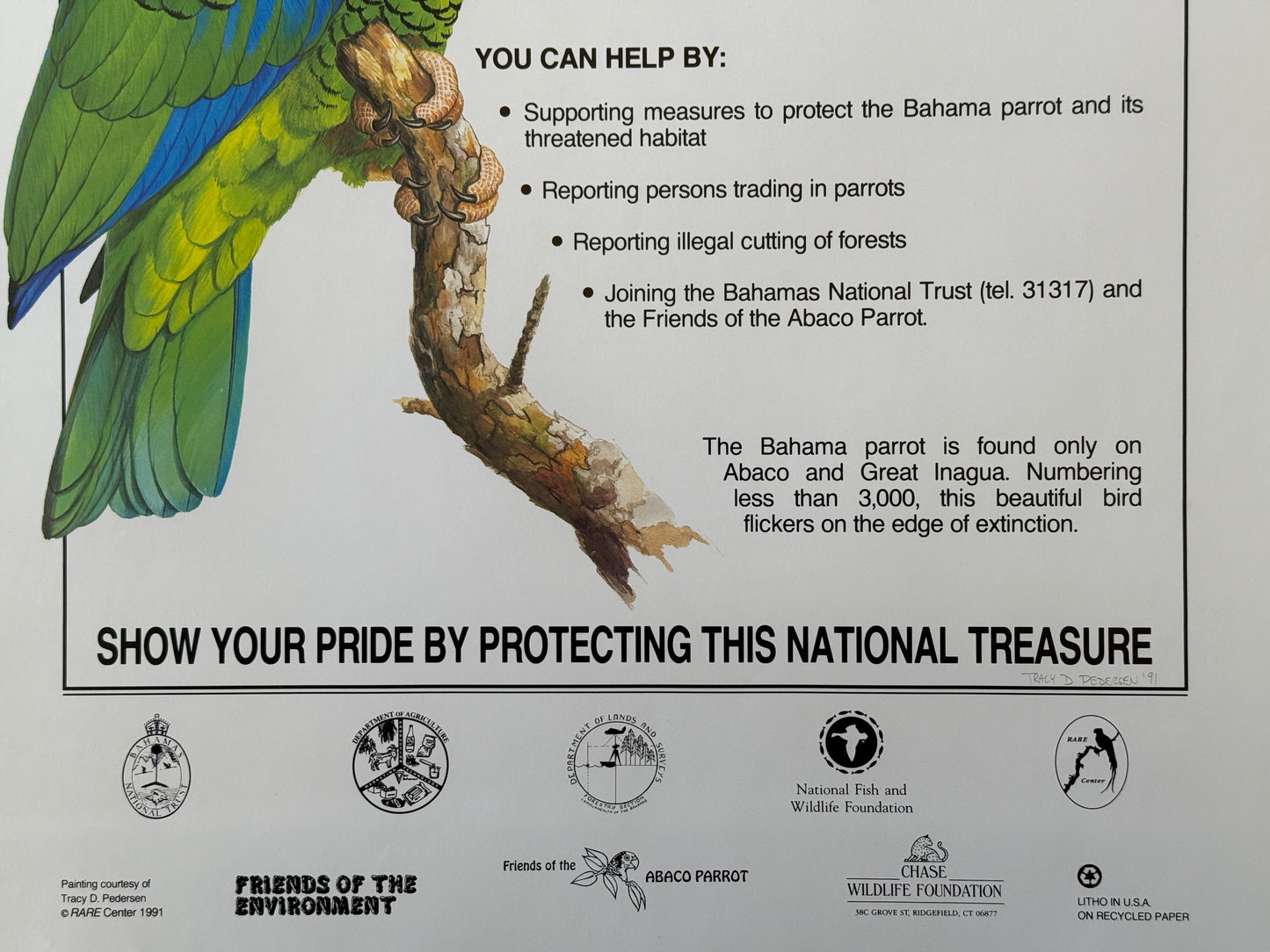 Bahamas Parrot Vintage Preservation Poster (1991)