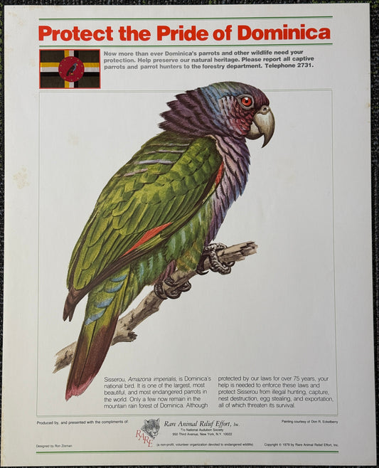 Dominican Parrot Vintage Preservation Poster (1979)