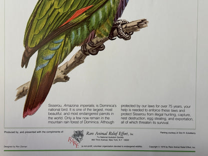 Dominican Parrot Vintage Preservation Poster (1979)