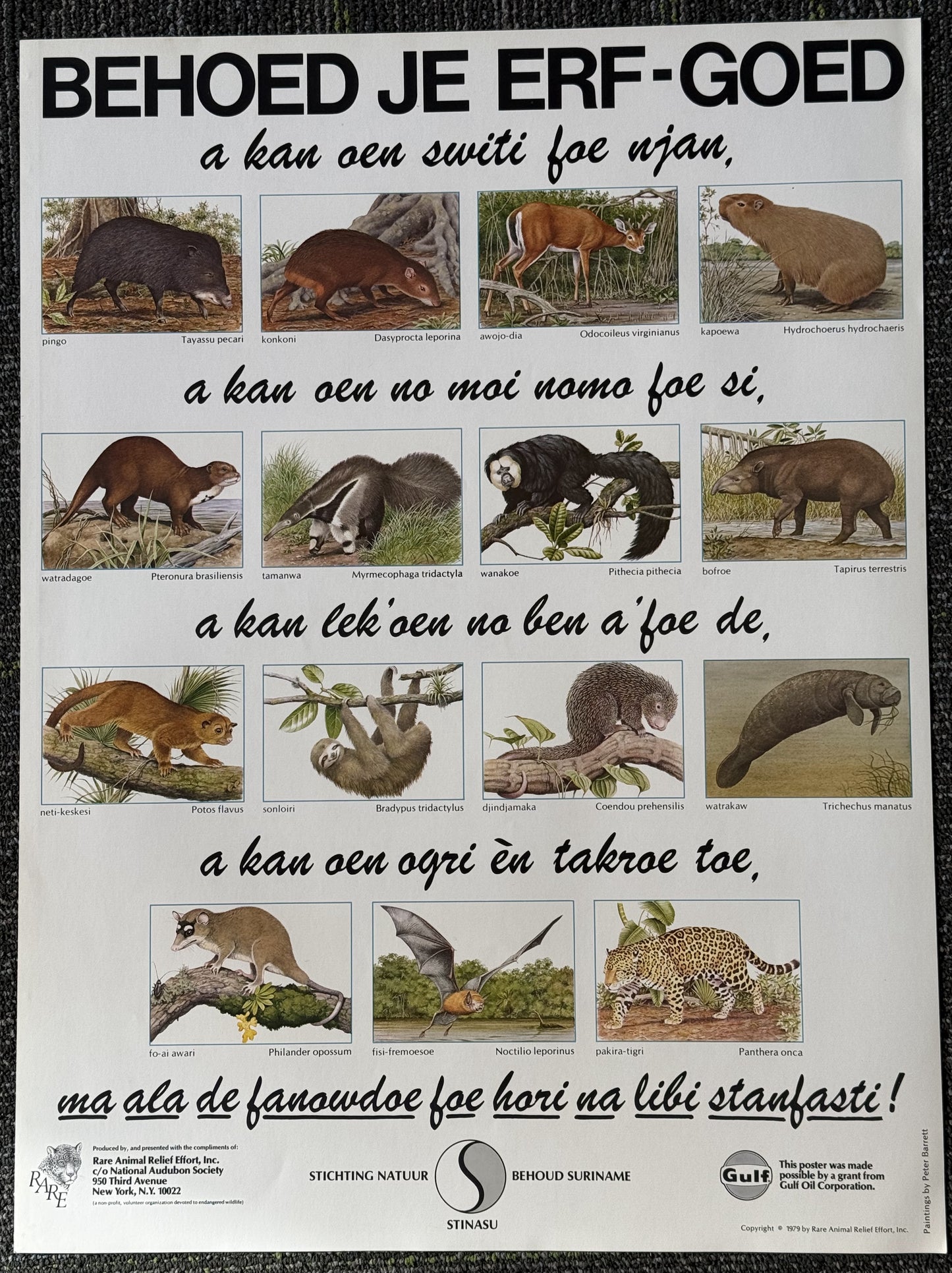 Vintage Suriname Wildlife Preservation Poster (1979)