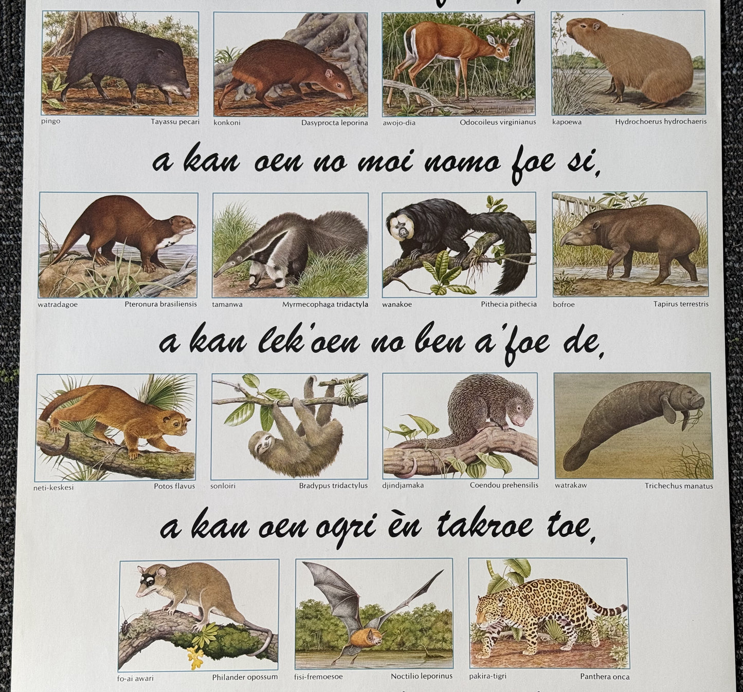 Vintage Suriname Wildlife Preservation Poster (1979)