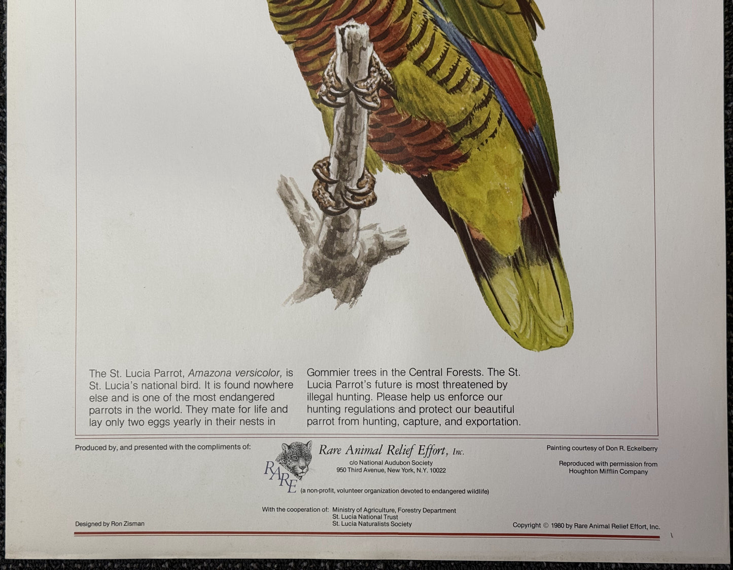 St. Lucia Parrot Vintage Preservation Poster (1980)