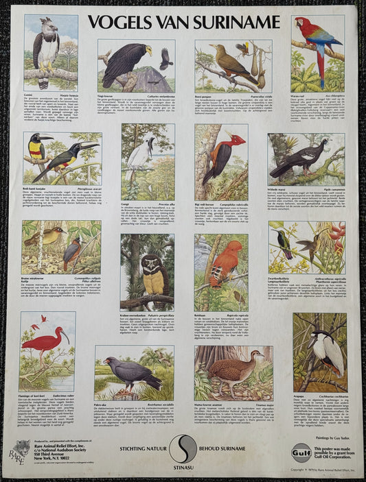 Vintage Suriname Bird Poster (1979)