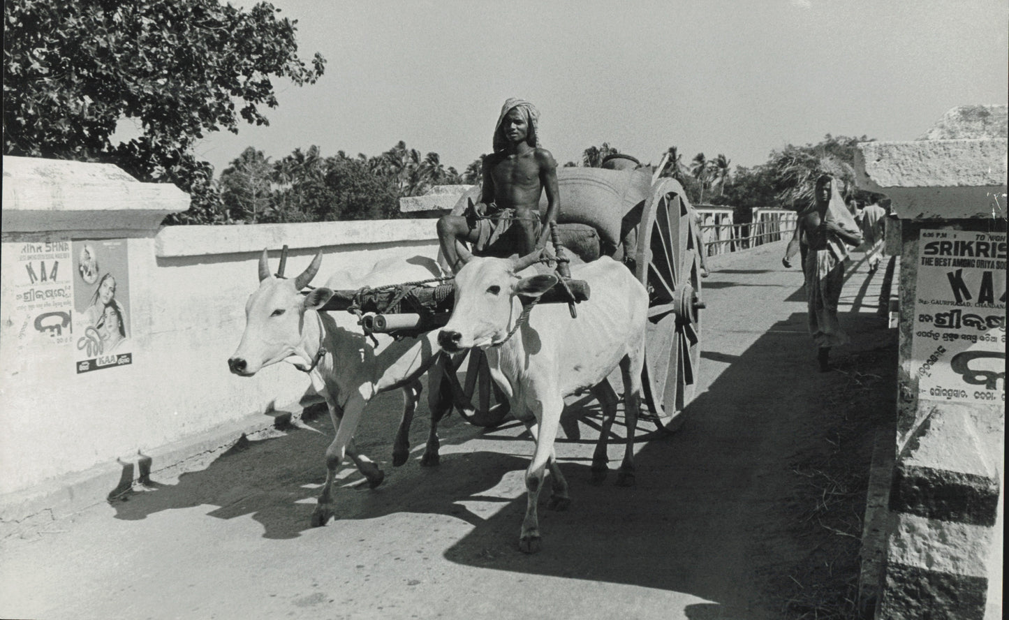 India Documentary Imagery by Henry Herr Gill (27 oversized prints)