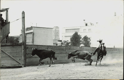 Vintage Cowboy Collection (1919 - 1948) (14 prints) Cowboy Sports Wild West