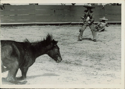 Vintage Cowboy Collection (1919 - 1948) (14 prints) Cowboy Sports Wild West