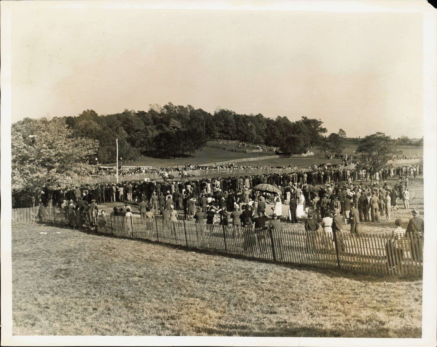 Equestrian Collection (1922-1945) (21 vintage prints)