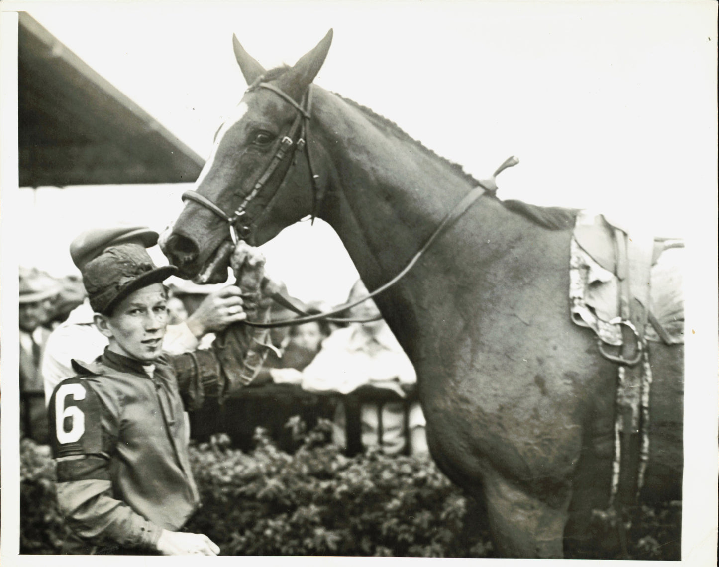 Equestrian Collection (1922-1945) (21 vintage prints)