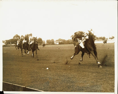 Equestrian Collection (1922-1945) (21 vintage prints)