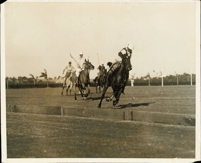 Equestrian Collection (1922-1945) (21 vintage prints)