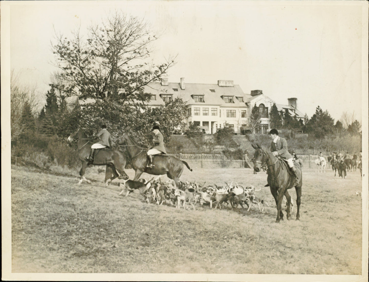 Equestrian Collection (1922-1945) (21 vintage prints)