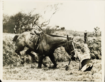 Equestrian Collection (1922-1945) (21 vintage prints)