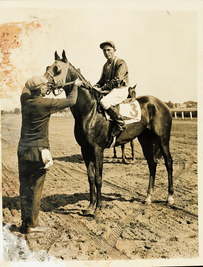 Equestrian Collection (1922-1945) (21 vintage prints)