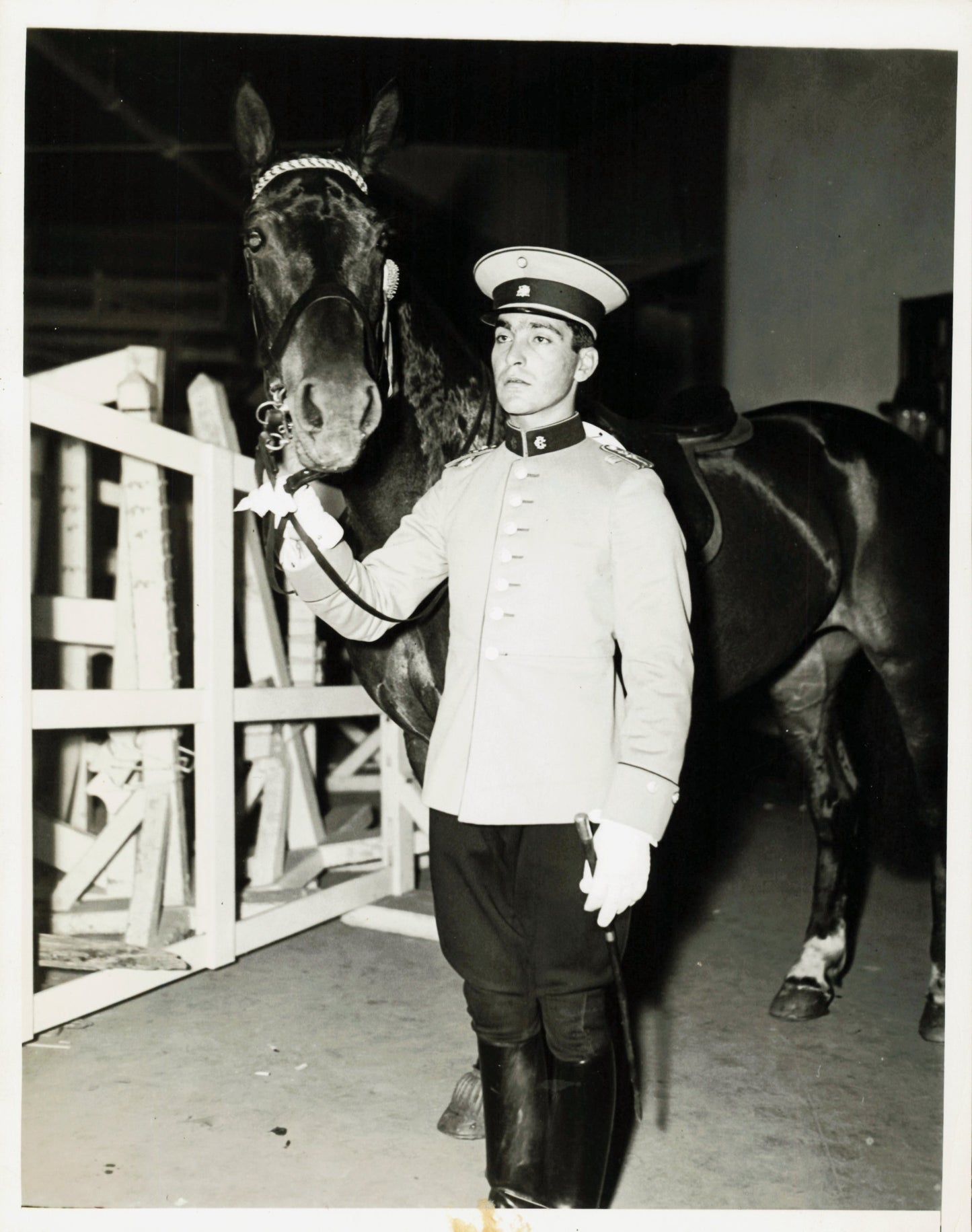 Equestrian Collection (1922-1945) (21 vintage prints)